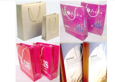 Matt Lamination C2s Paper Packaging Hand Bags, Offset Printing Custom Paper Gift Bags For Promotion