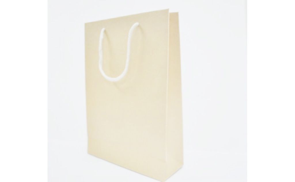 gift bag store